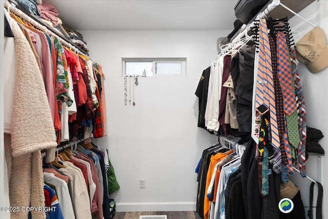 view of spacious closet