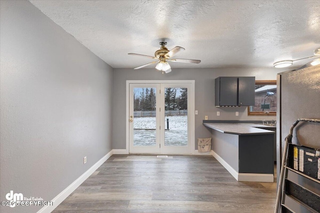 kitchen featuring ceiling fan, plenty of natural light, dark wood-type flooring, and a textured ceiling