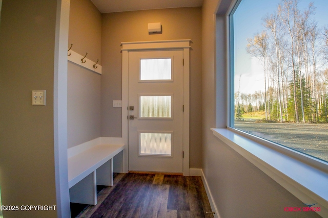 mudroom with dark wood-type flooring