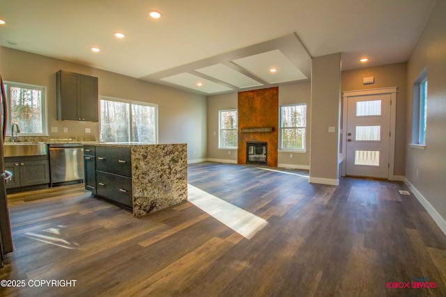 kitchen featuring a healthy amount of sunlight, a fireplace, dark wood-type flooring, and dishwasher