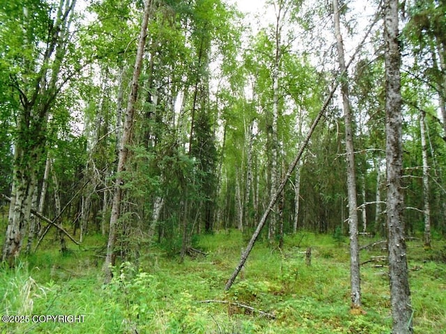 8581 W Skyview Dr, Wasilla, AK 99623 - photo 10