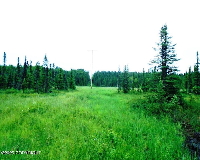 8581 W Skyview Dr, Wasilla, AK 99623 - photo 13