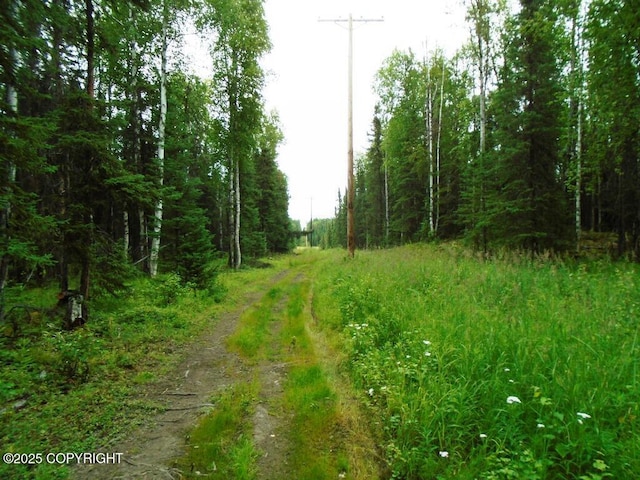 8581 W Skyview Dr, Wasilla, AK 99623 - photo 12