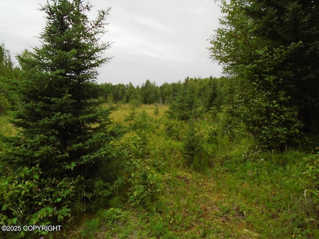 8581 W Skyview Dr, Wasilla, AK 99623 - photo 14