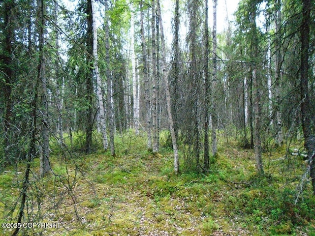 8581 W Skyview Dr, Wasilla, AK 99623 - photo 16