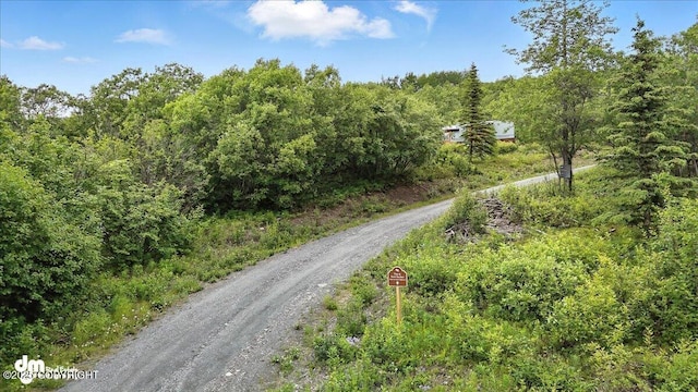 45161 Glenn Hwy, Chickaloon, AK 99674 - photo 13