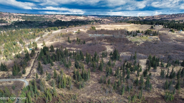 65251 Wagon Rd, Anchor Point, AK 99556