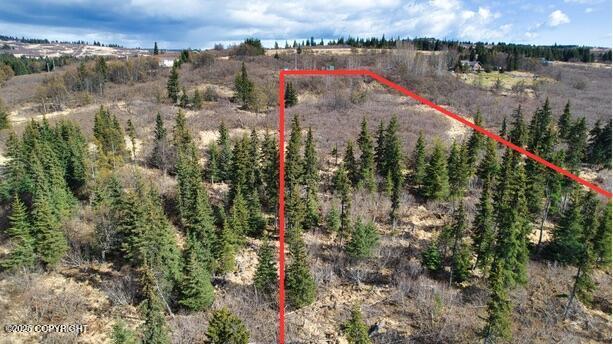 65251 Wagon Rd, Anchor Point, AK 99556