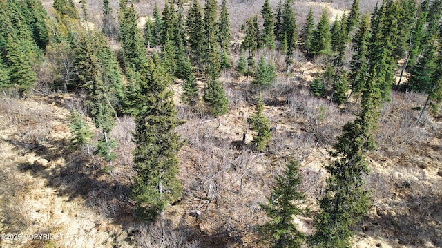 65251 Wagon Rd, Anchor Point, AK 99556