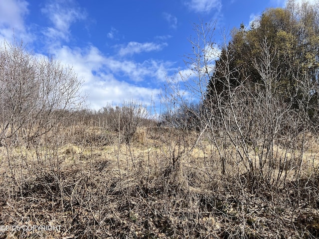 65251 Wagon Rd, Anchor Point, AK 99556