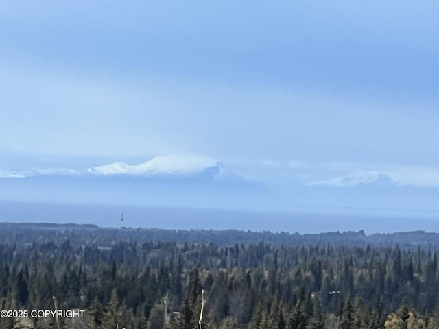 65251 Wagon Rd, Anchor Point, AK 99556
