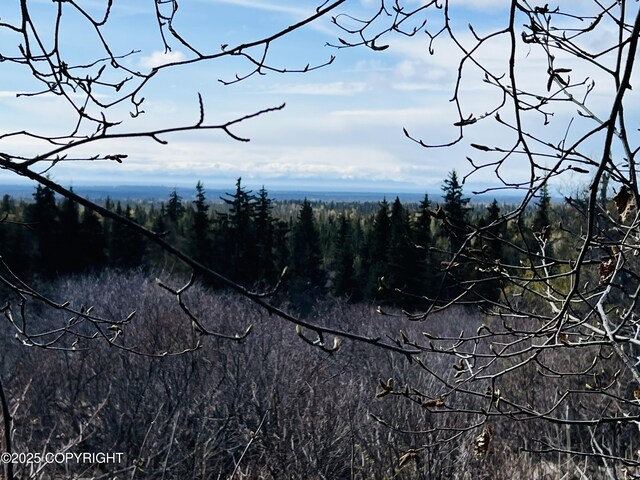 65251 Wagon Rd, Anchor Point, AK 99556