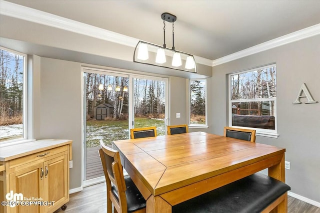 dining room featuring hardwood / wood-style flooring, crown molding, and a wealth of natural light