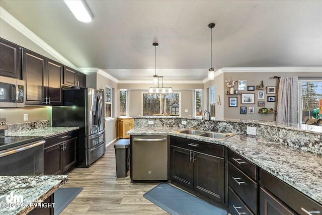 kitchen with dark brown cabinetry, sink, decorative light fixtures, stainless steel appliances, and light hardwood / wood-style floors