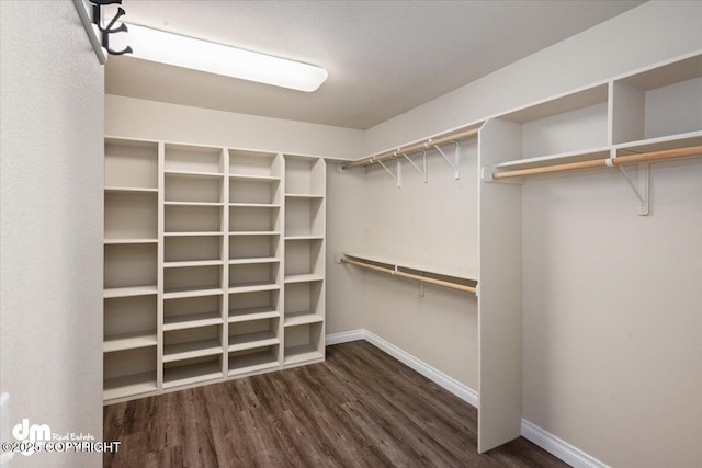 spacious closet with dark wood-type flooring