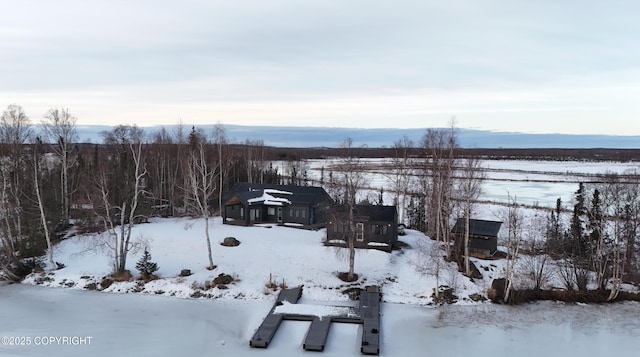 view of yard covered in snow