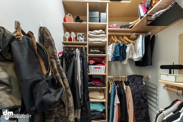 view of spacious closet