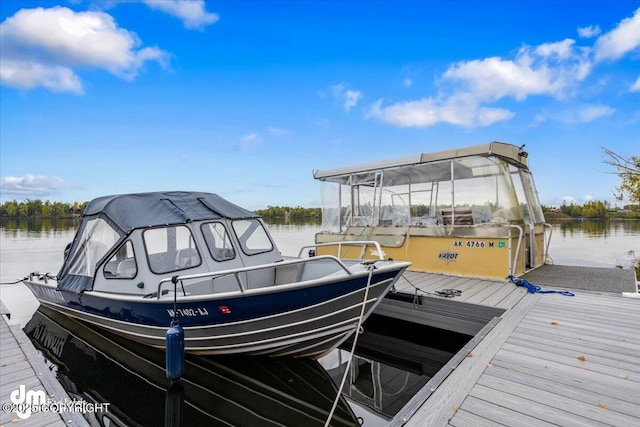 dock area with a water view