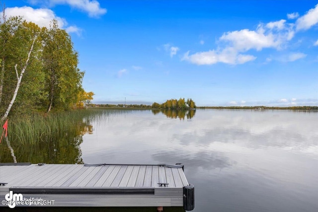 dock area featuring a water view