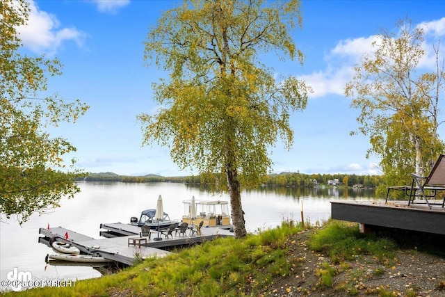 dock area with a water view