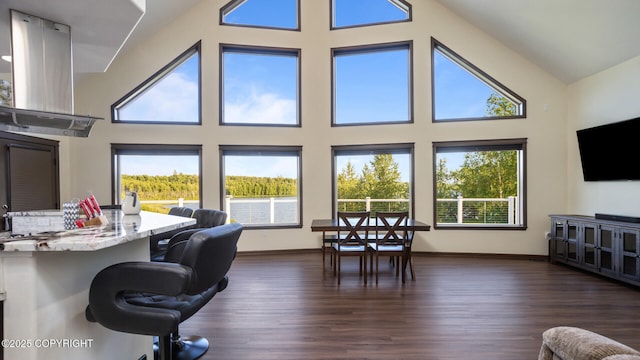 interior space with high vaulted ceiling and dark hardwood / wood-style floors