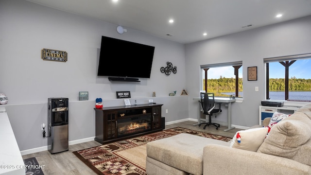 living room featuring hardwood / wood-style floors