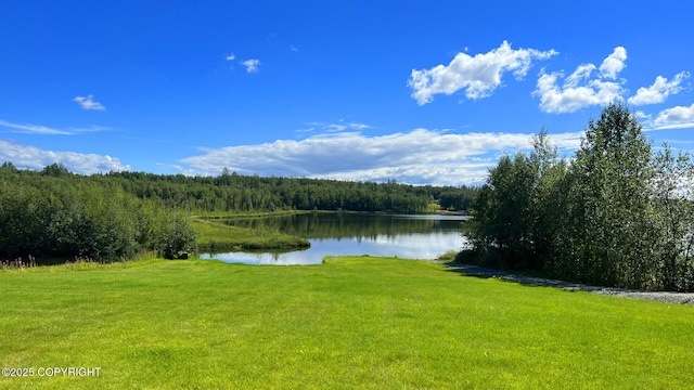 property view of water