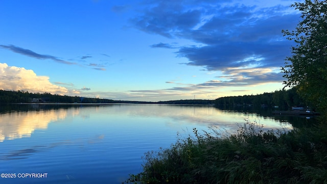 property view of water