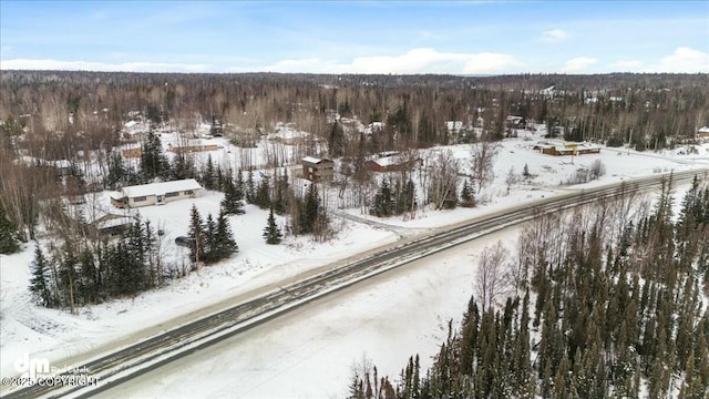 view of snowy aerial view