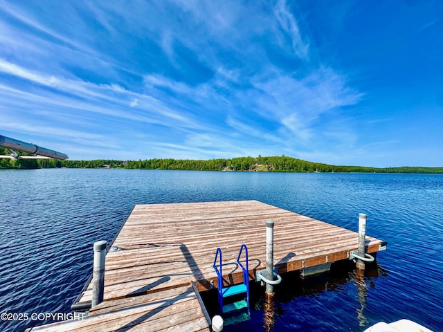 9218 N Erica Dr, Willow, AK 99688 - dock featuring a water view