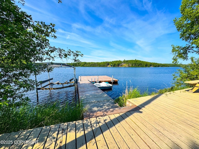 9218 N Erica Dr, Willow, AK 99688 - dock with a water view