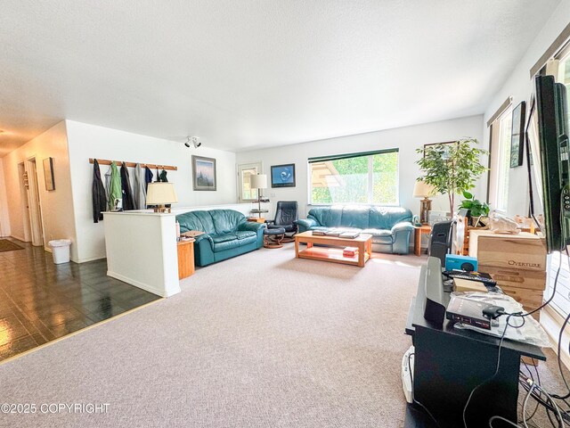 9218 N Erica Dr, Willow, AK 99688 - view of carpeted living area