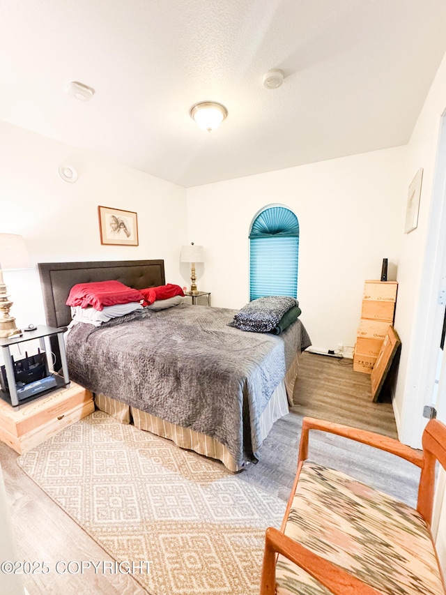 9218 N Erica Dr, Willow, AK 99688 - bedroom featuring wood finished floors