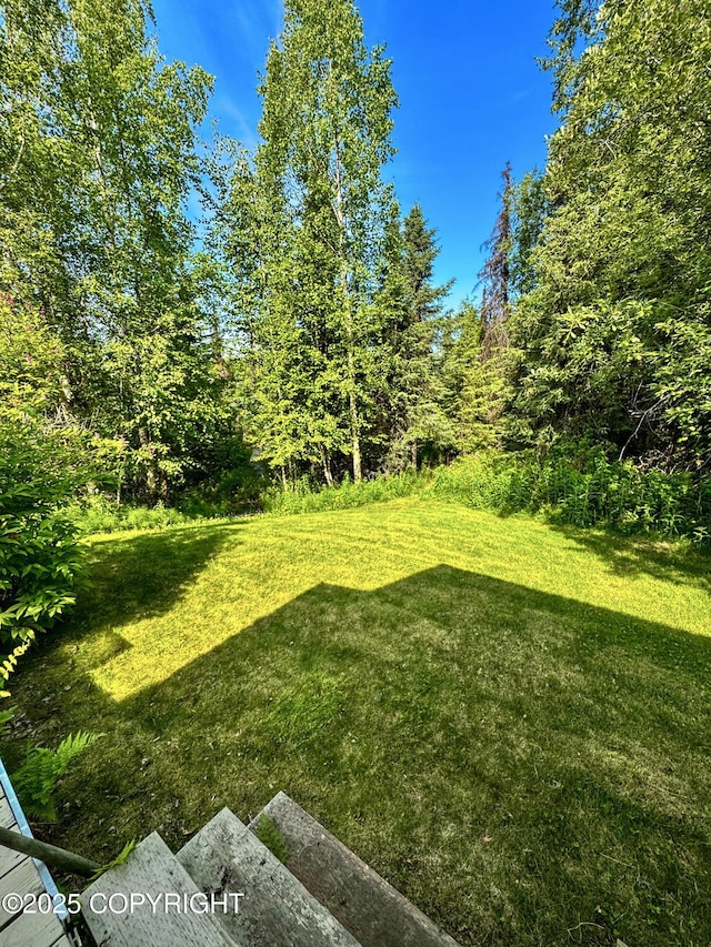 9218 N Erica Dr, Willow, AK 99688 - view of grassy yard