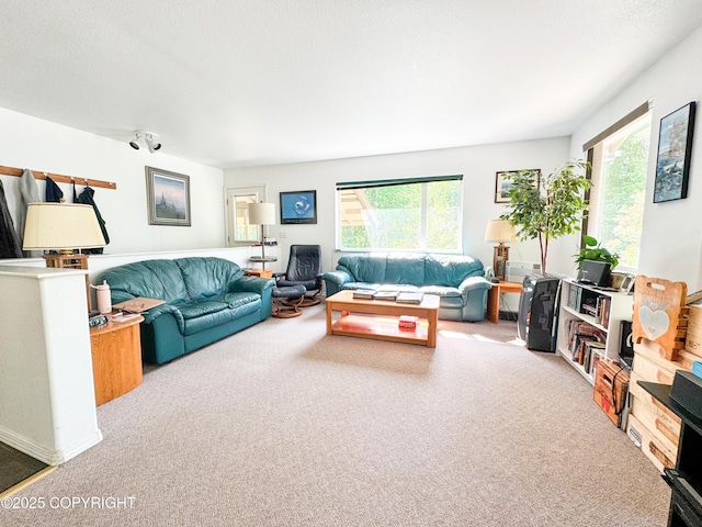 9218 N Erica Dr, Willow, AK 99688 - living area featuring carpet and plenty of natural light
