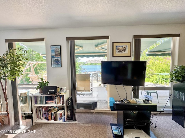 9218 N Erica Dr, Willow, AK 99688 - living room featuring carpet flooring, a textured ceiling, and plenty of natural light