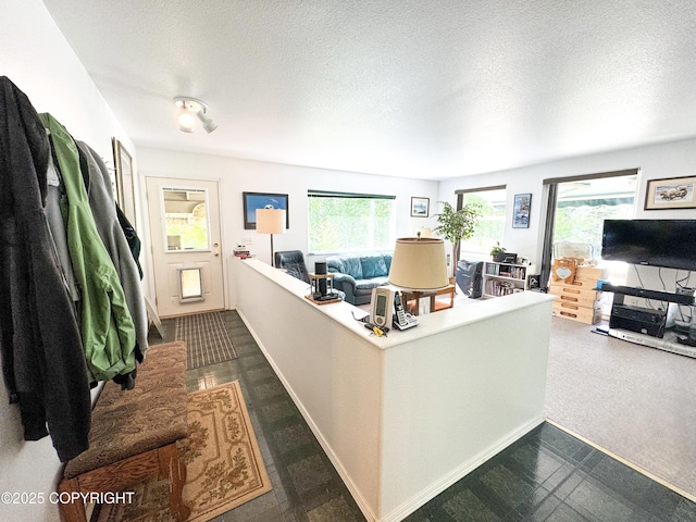 9218 N Erica Dr, Willow, AK 99688 - office space with a textured ceiling