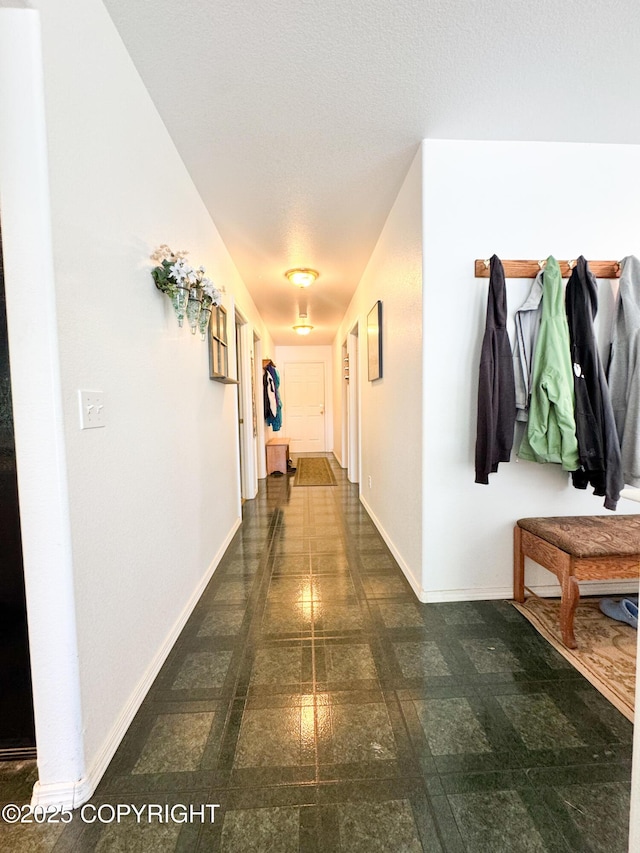 9218 N Erica Dr, Willow, AK 99688 - corridor with baseboards