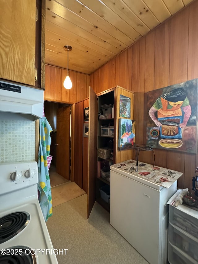 laundry area with wood ceiling, light colored carpet, and wood walls