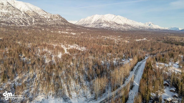 6689 E Edgerton Parks Rd, Palmer AK 99645 LAND for sale