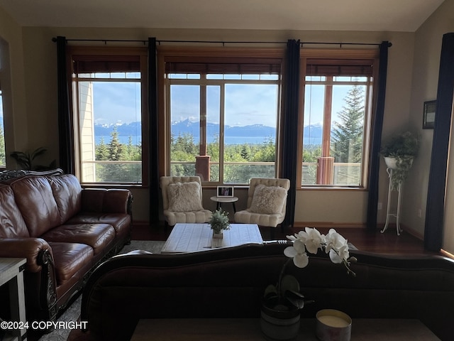 living room featuring a mountain view and hardwood / wood-style floors