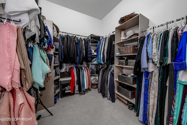 walk in closet with light colored carpet