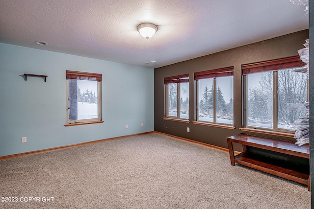 living area with a textured ceiling and carpet