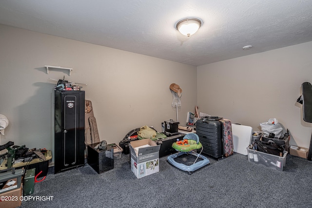 misc room with carpet and a textured ceiling