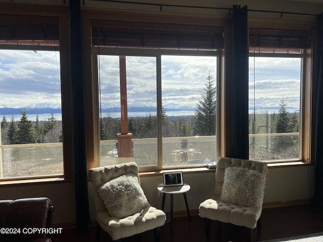 living area with a mountain view