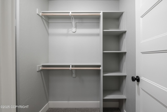 view of spacious closet