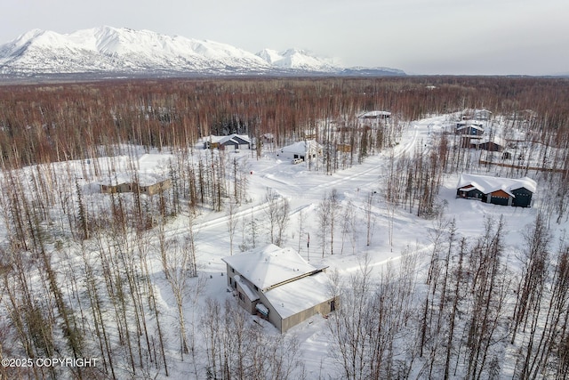 snowy aerial view featuring a mountain view