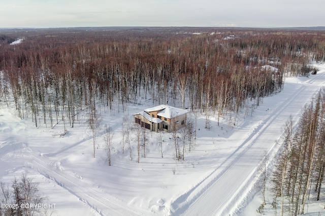 view of snowy aerial view