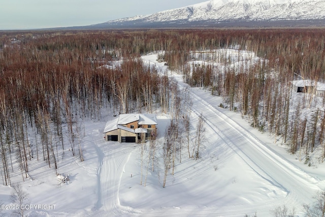 snowy aerial view featuring a mountain view