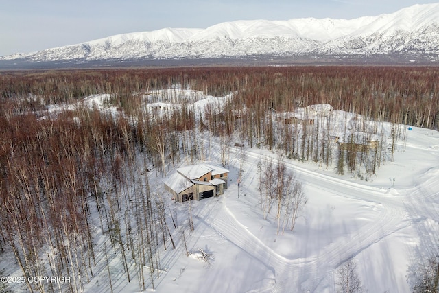 snowy aerial view featuring a mountain view